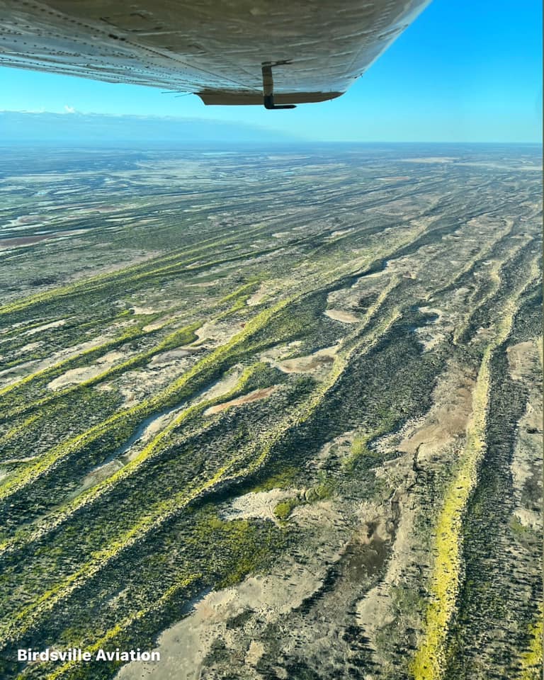 Birdsville Aviation